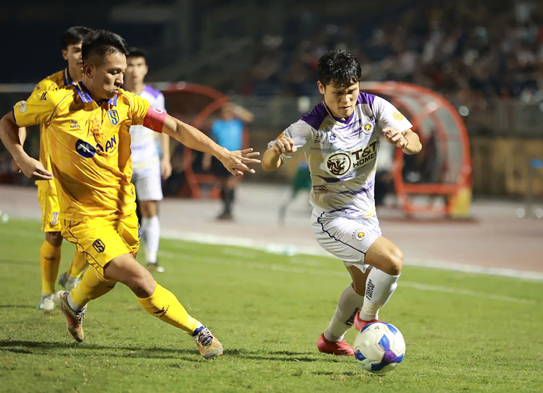 slna ha noi 9.jpg