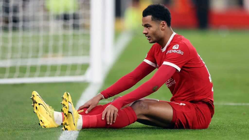 Telegraph Sport khuy&ecirc;n Liverpool lắng nghe c&aacute;c lời đề nghị cho Cody Gakpo.