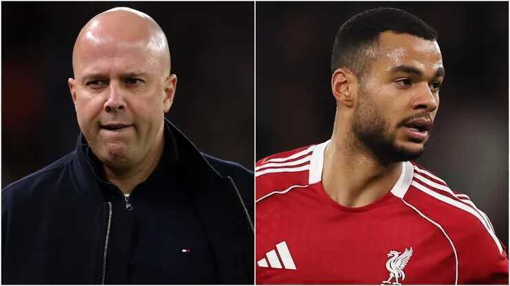 Cody Gakpo phá vỡ im lặng vụ Liverpool sa thải Arne Slot