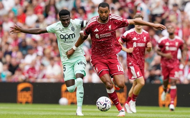 Lý do Roberto De Zerbi muốn đưa Cody Gakpo về Tottenham