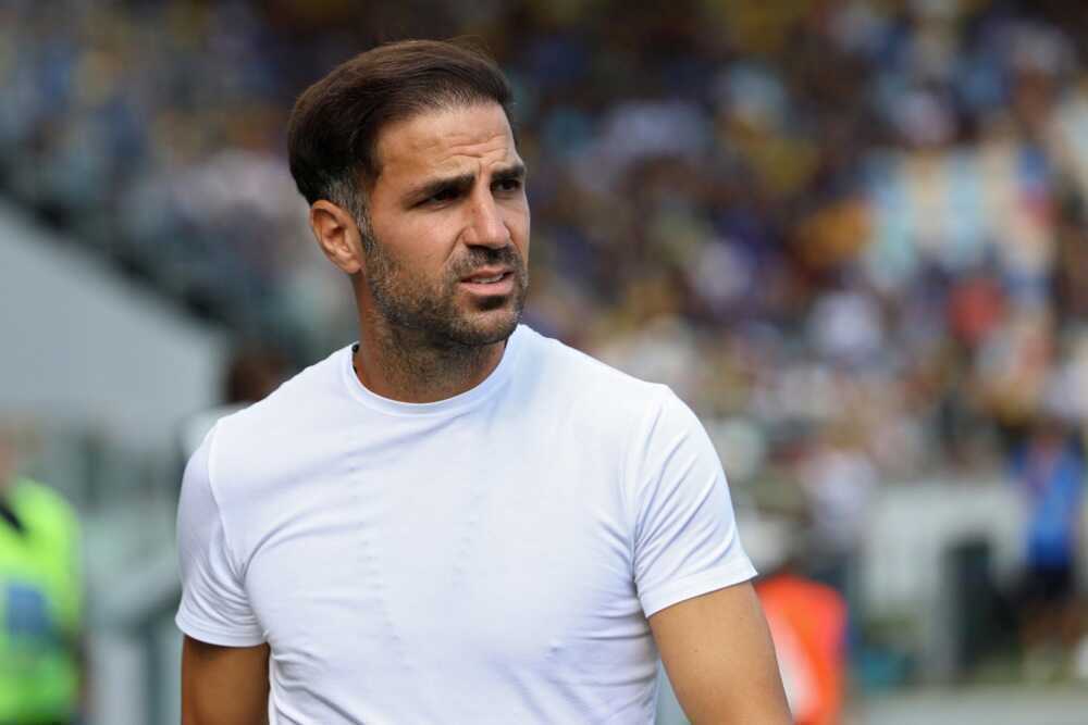 Di Marzio tiết lộ Fabregas có điều khoản rời Como để đến Arsenal